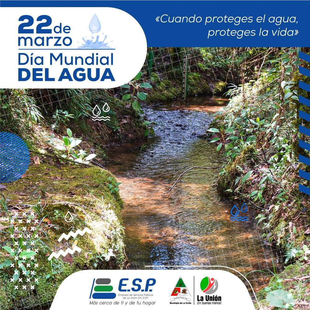 337034689_765489695292300_4179846218022889439_n