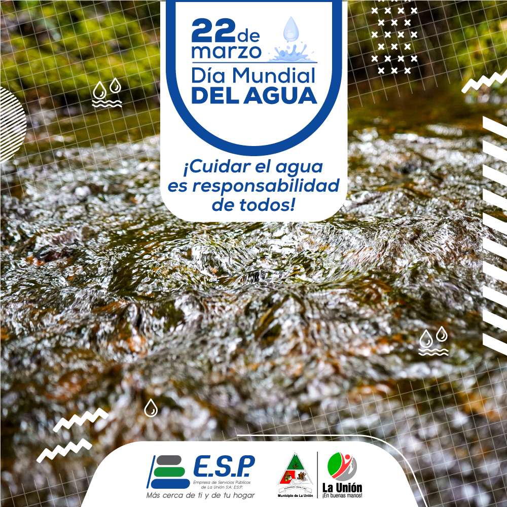 337165118_207326491900504_2502050892268618570_n