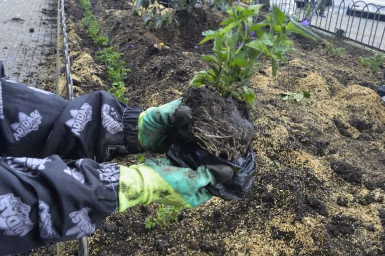 339271129_1831756950544422_1520599029319828971_n